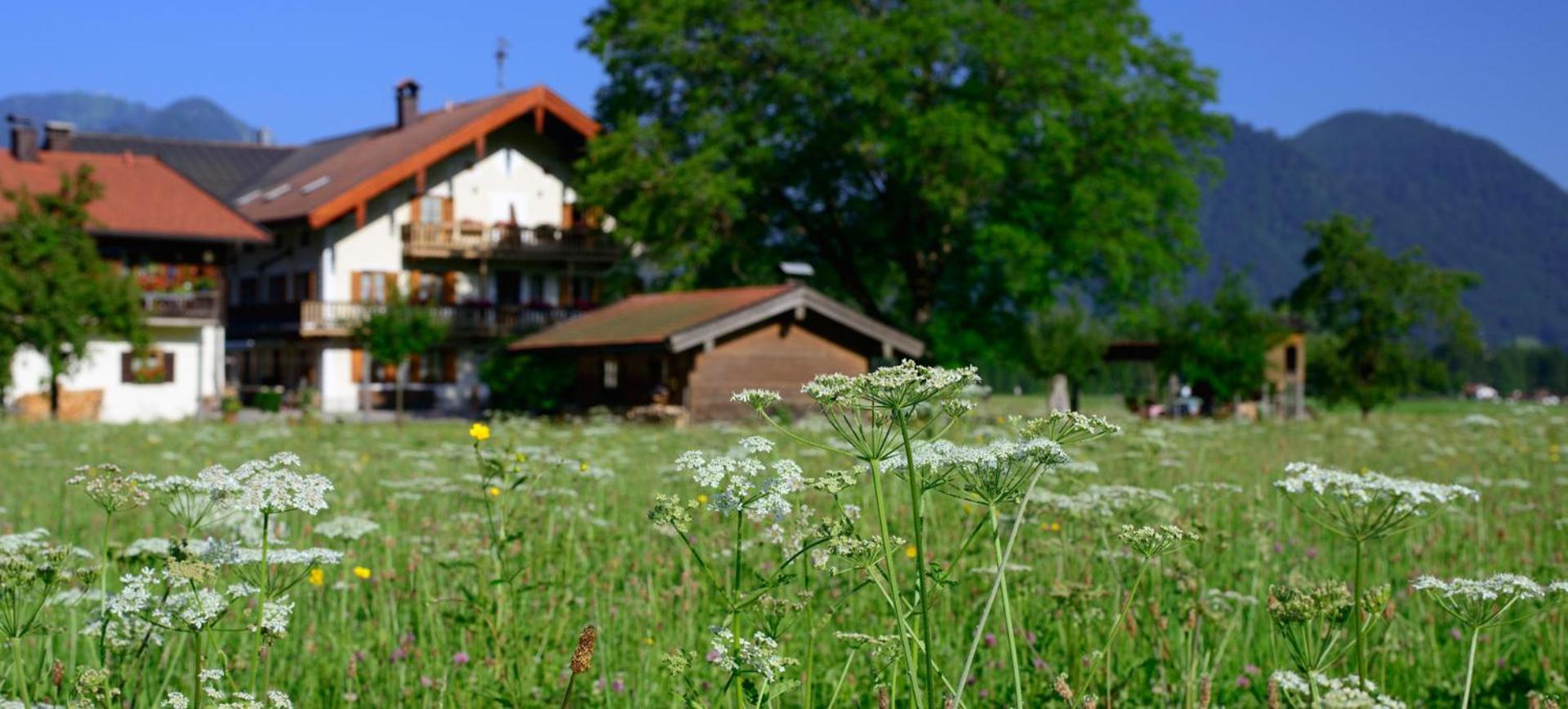 Ferienwohnungen Ramslerhof Inkl. Chiemgaukarte Ruhpolding Extérieur photo